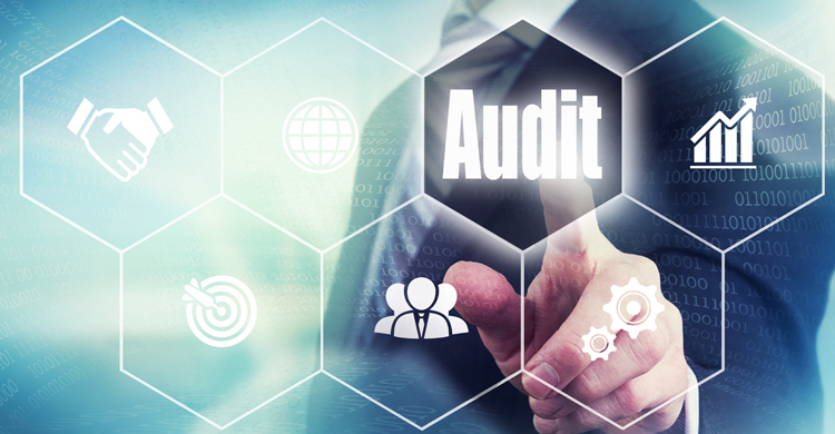 Internal Audit Solutions